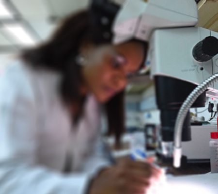 Directorate of Research and Postgraduate Support